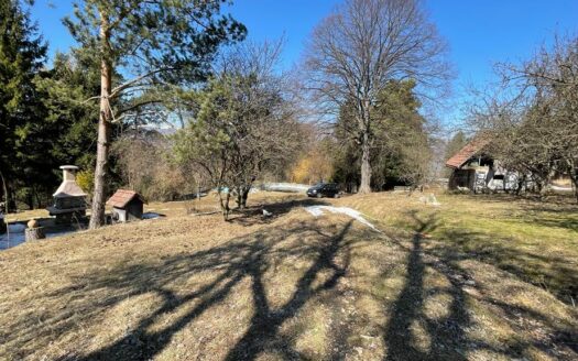 Domeniu privat, pentru investiție