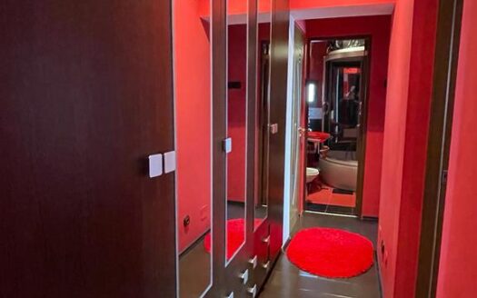 Apartament 3 camere