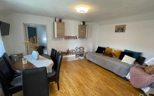 Casa – posibil locuit sau afacere in zona comunei Baru Mare