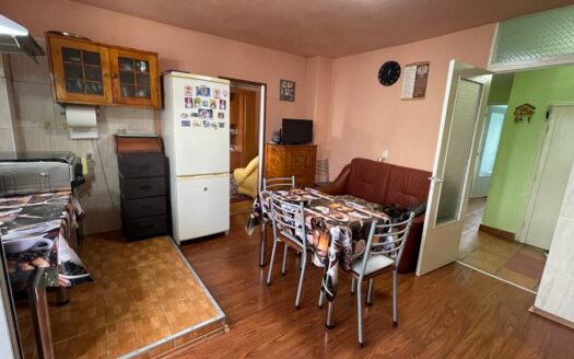 Apartament stada Minei