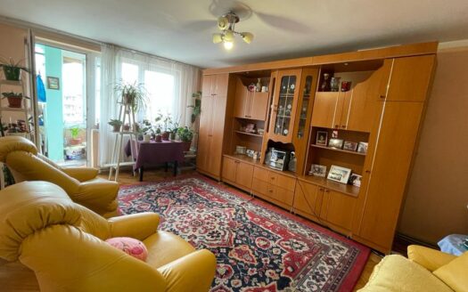 Apartament stada Minei