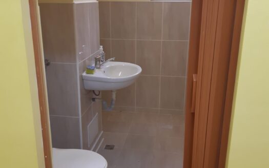 Spatiu comercial