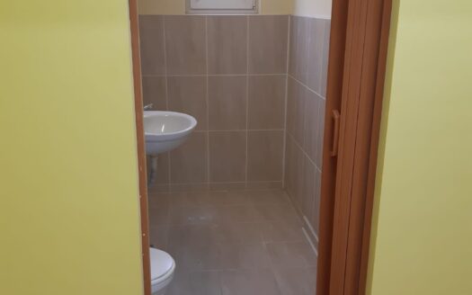 Spatiu comercial