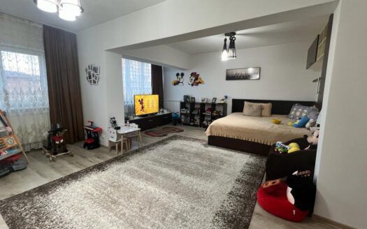 Apartament deosebit zona centrala