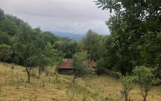 Teren zona pitoreasca