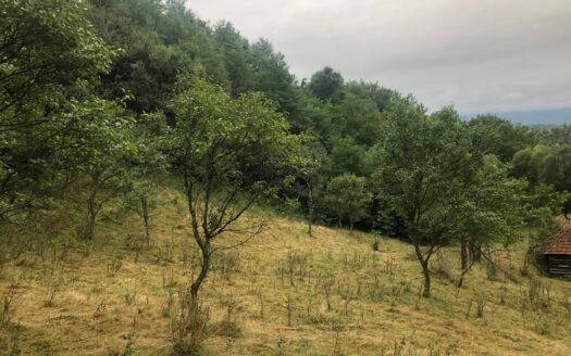 Teren zona pitoreasca