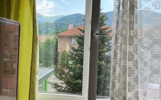 Apartament central
