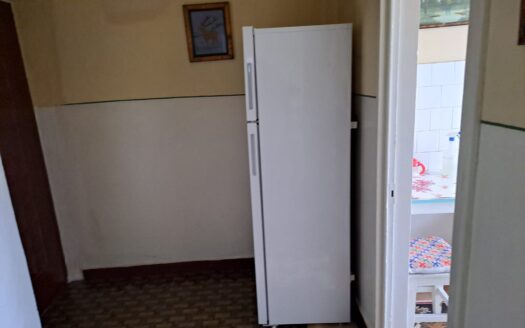 Apartament central