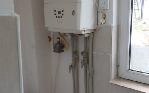 Apartament zona Barbateni