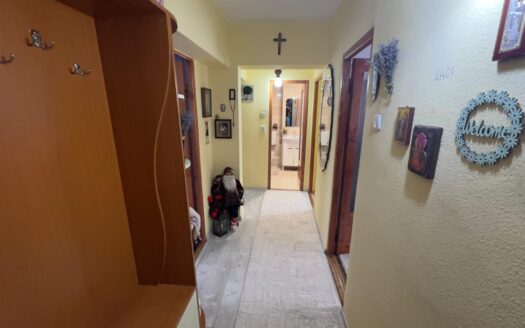 Apartament zona pietonala