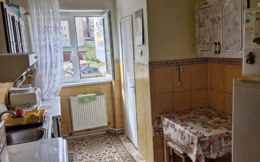 Apartament zona centrala Vulcan