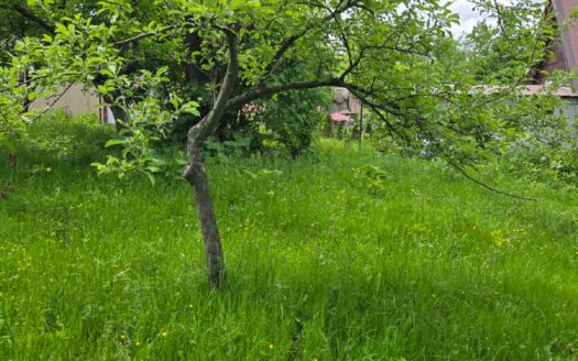 Teren intravilan Paroseni