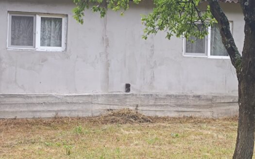 Casa zona pitoreasca