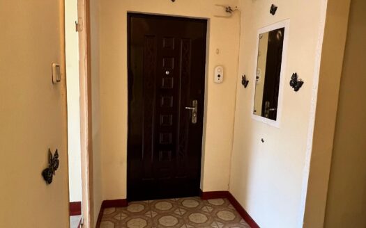 Apartament zona centrala