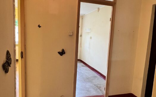 Apartament zona centrala