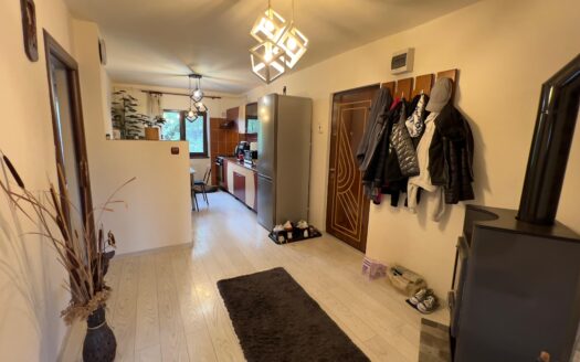 Apartament zona centrala