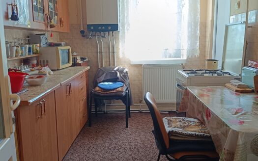 Apartament central Vulcan