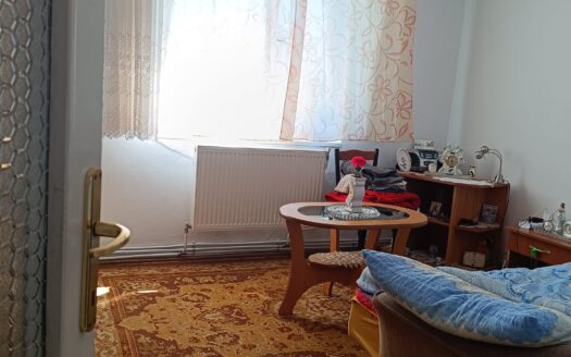 Apartament central Vulcan
