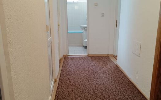 Apartament central Vulcan