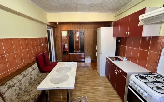 Apartament central Petrila