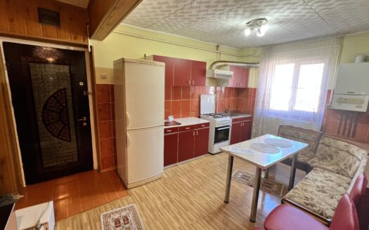 Apartament central Petrila