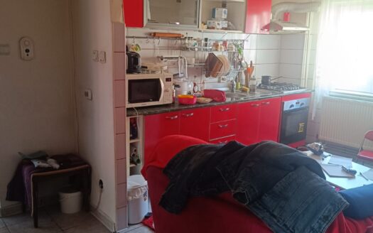 Apartament central