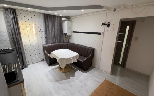 Apartament central